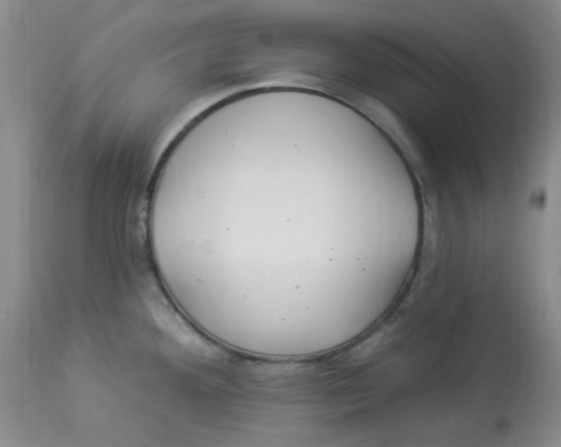 X0000113961292200910232021