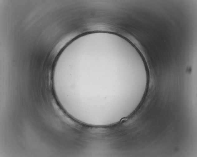 X0000113961293200910232021