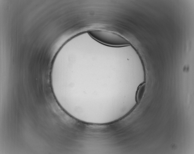 X0000113961296200910232020