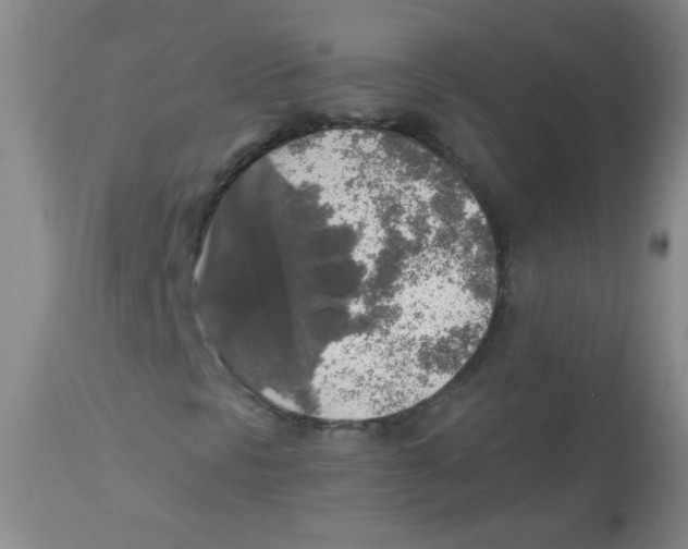 X0000113961297200910232020