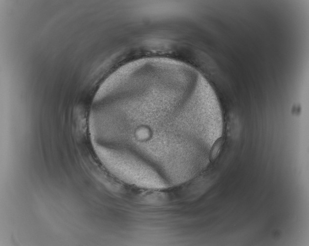 X0000113961298200910232020