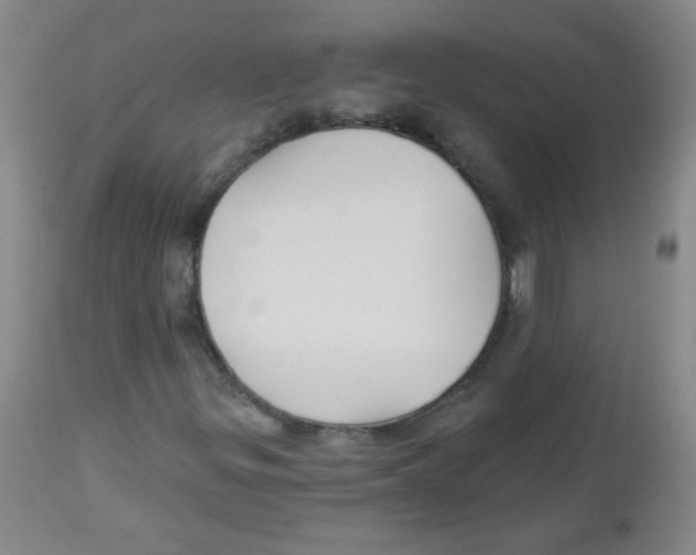 X0000113961299200910232020