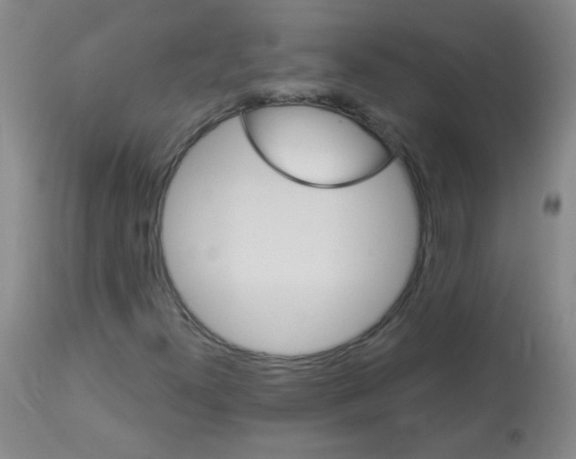 X0000113961300200910232020