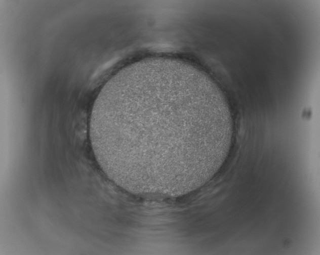 X0000113961301200910232020