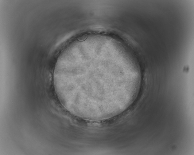 X0000113961302200910232020