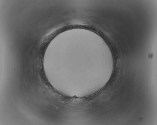 X0000113961303200910232020