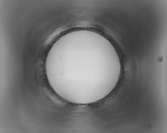 X0000113961304200910232020