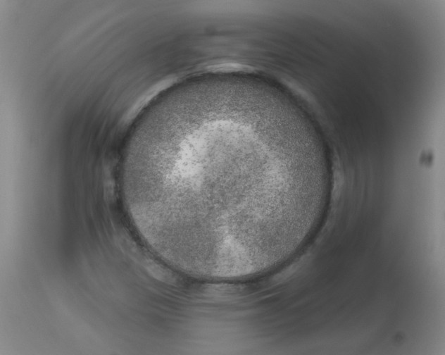 X0000113961305200910232020