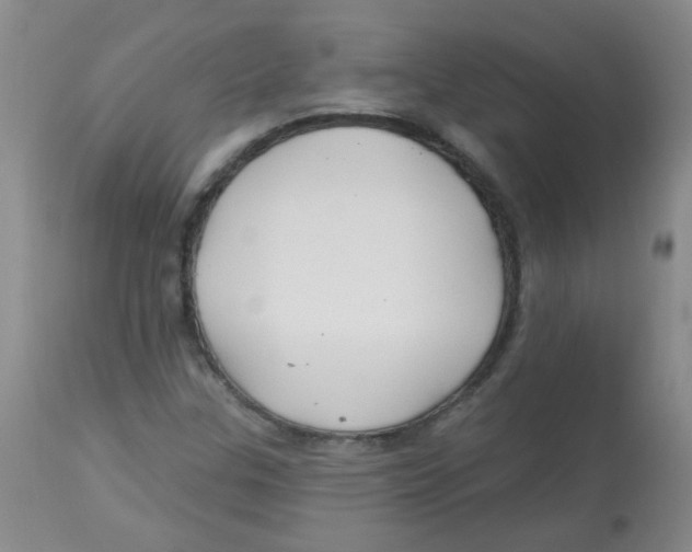 X0000113961307200910232020