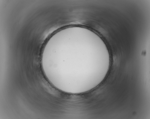 X0000113961308200910232020