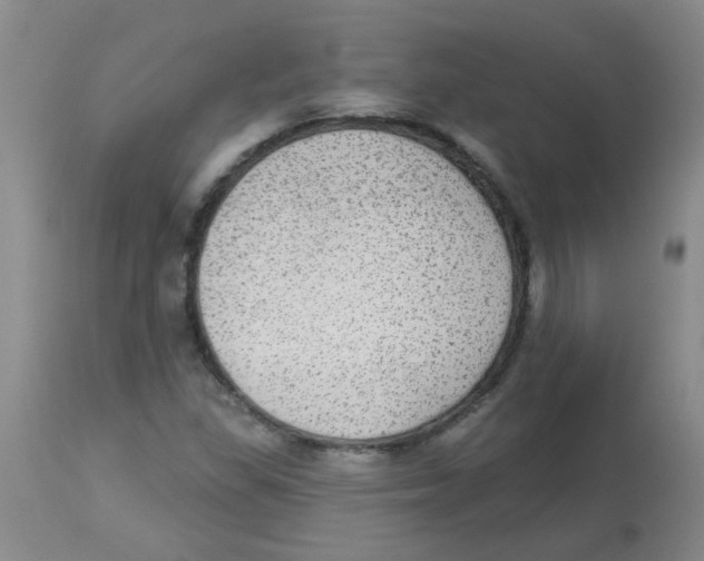 X0000113961309200910232020