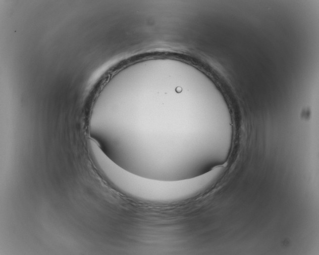 X0000113961310200910232020