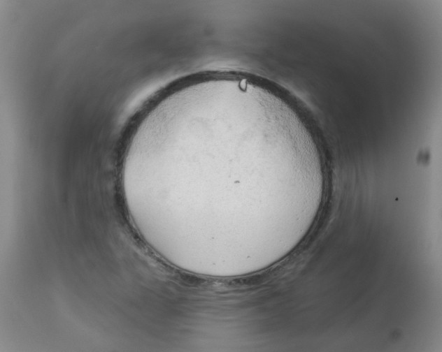 X0000113961311200910232020