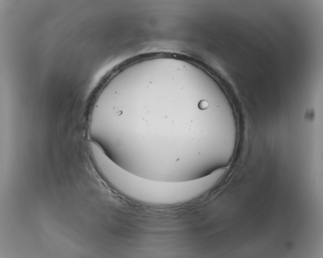 X0000113961312200910232020