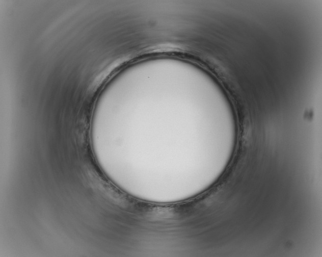 X0000113961313200910232020