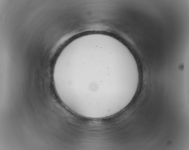 X0000113961315200910232020