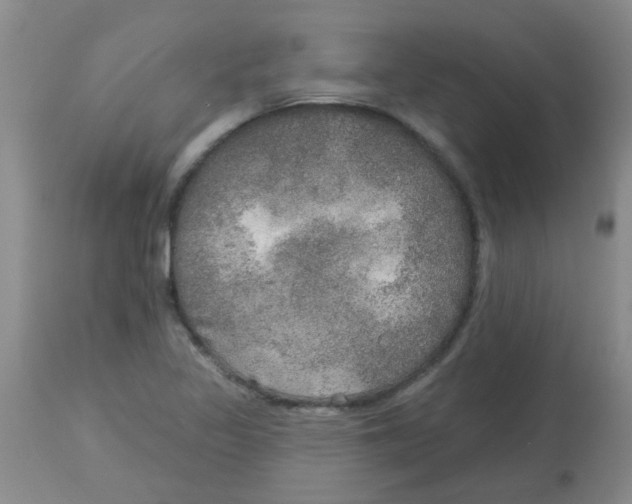 X0000113961317200910232020