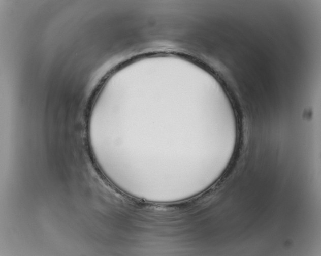 X0000113961318200910232020