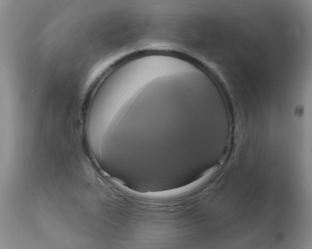 X0000113961319200910232020