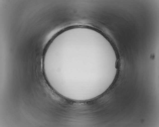 X0000113961320200910232020