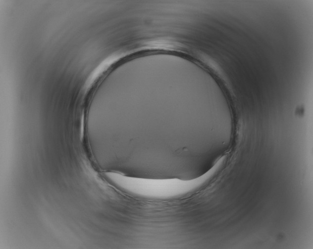 X0000113961323200910232020