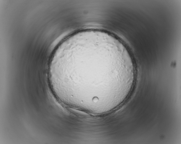 X0000113961325200910232020