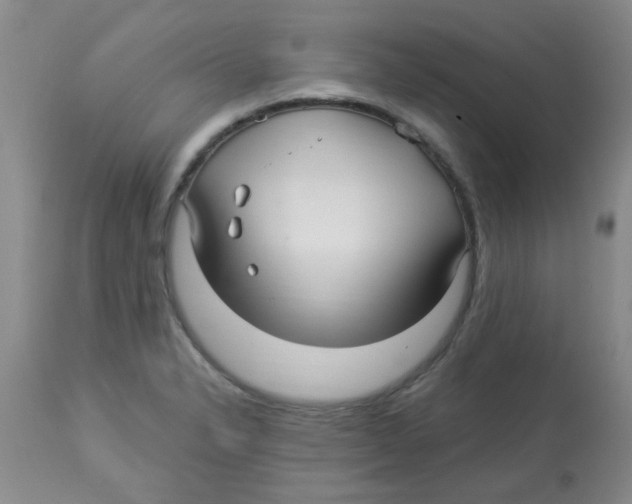 X0000113961326200910232020