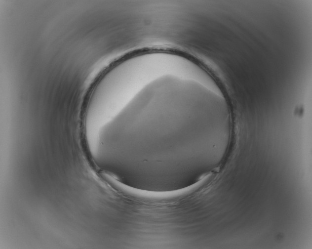 X0000113961327200910232020