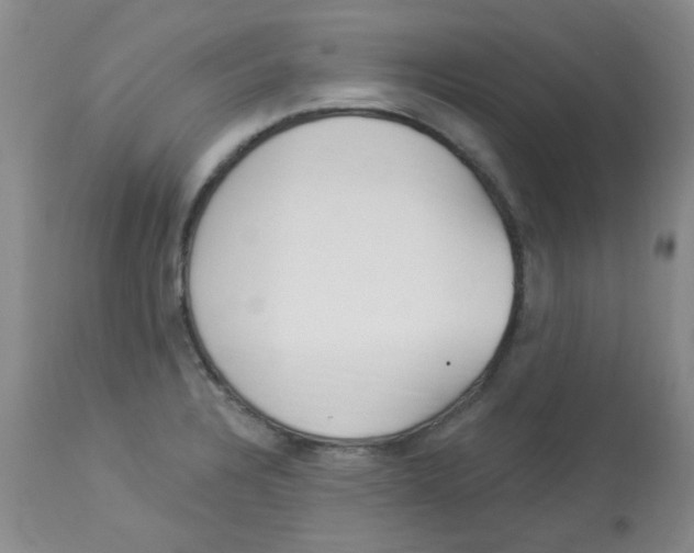 X0000113961328200910232020