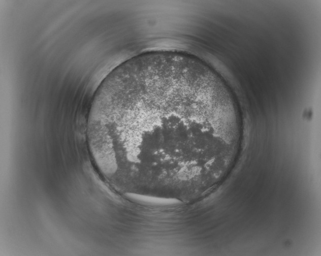 X0000113961329200910232020