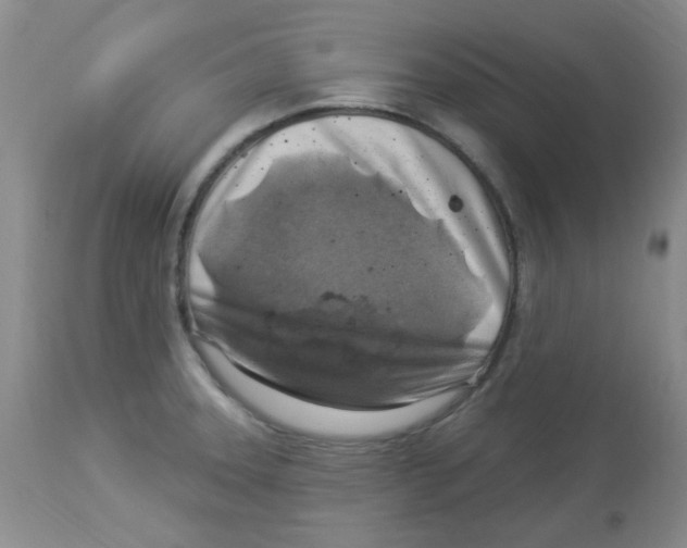 X0000113961331200910232020