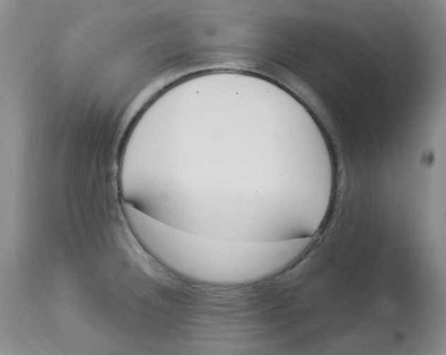 X0000113961332200910232020