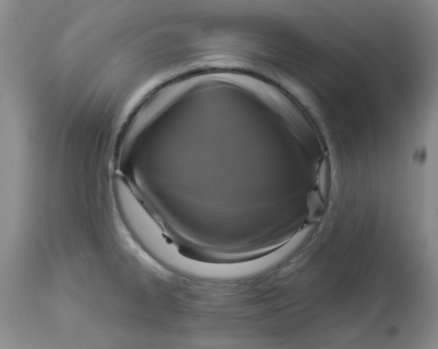 X0000113961334200910232020