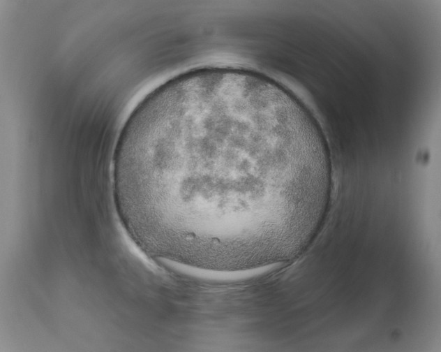 X0000113961335200910232020