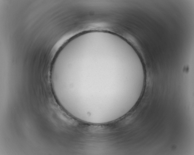 X0000113961336200910232020