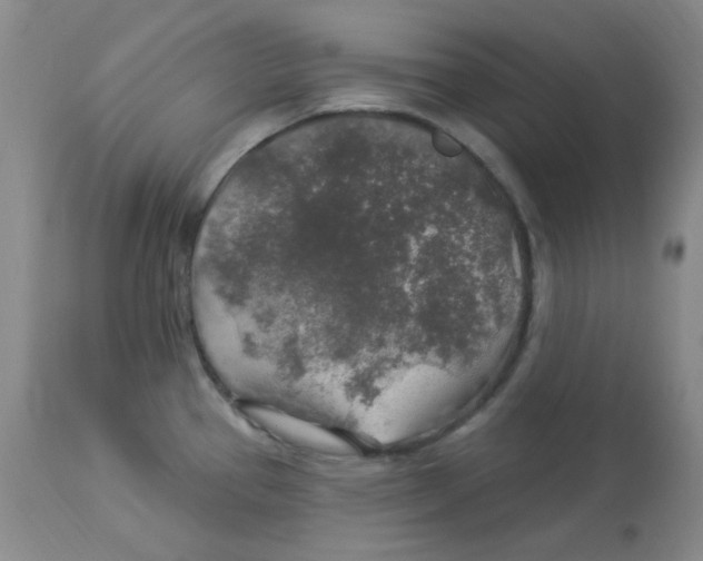 X0000113961337200910232020