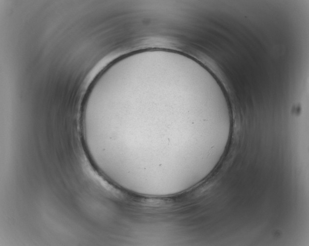 X0000113961339200910232020