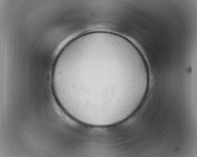 X0000113961341200910232020