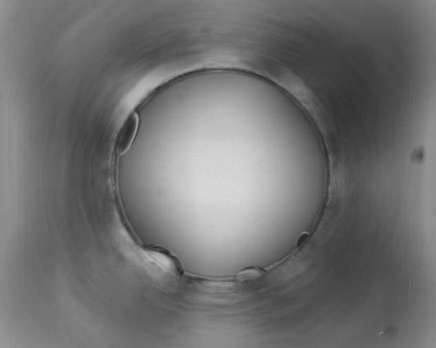 X0000113961342200910232020