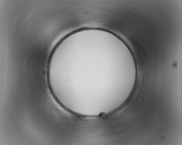 X0000113961343200910232020