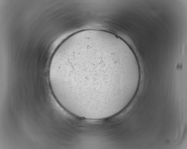 X0000113961344200910232020