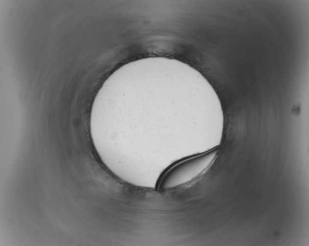 X0000113961345200910232020