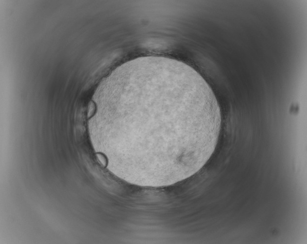 X0000113961346200910232020