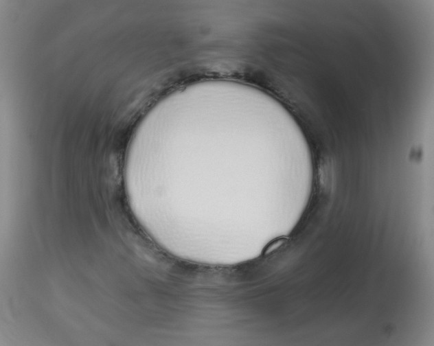 X0000113961347200910232020