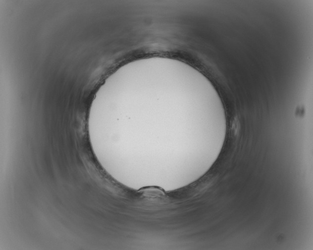 X0000113961348200910232020