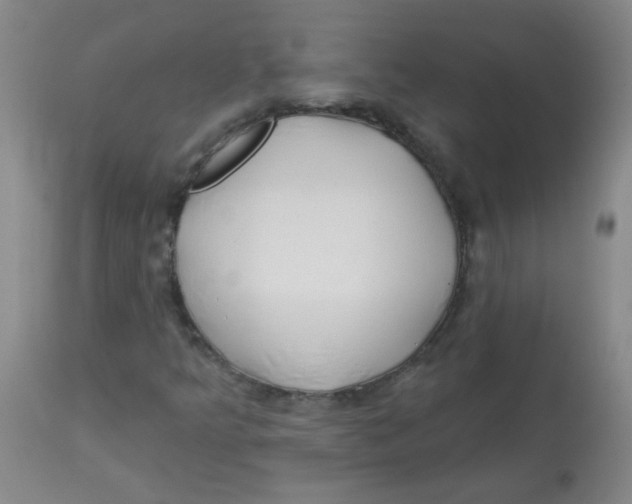 X0000113961349200910232020