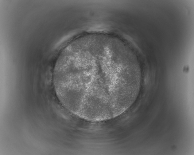 X0000113961350200910232020