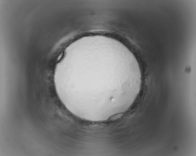 X0000113961351200910232020