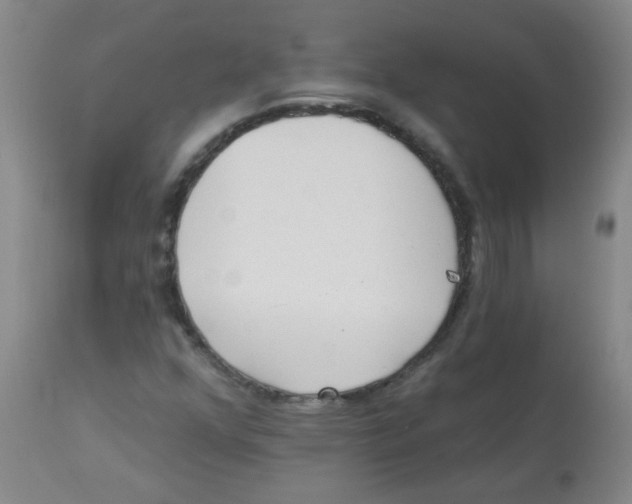 X0000113961352200910232020