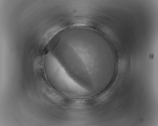 X0000113961353200910232020